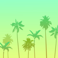 Fototapeta na wymiar Vector illustration, image of palm trees on a warm summer evening