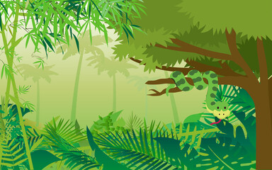 landscape of forest in the day time 