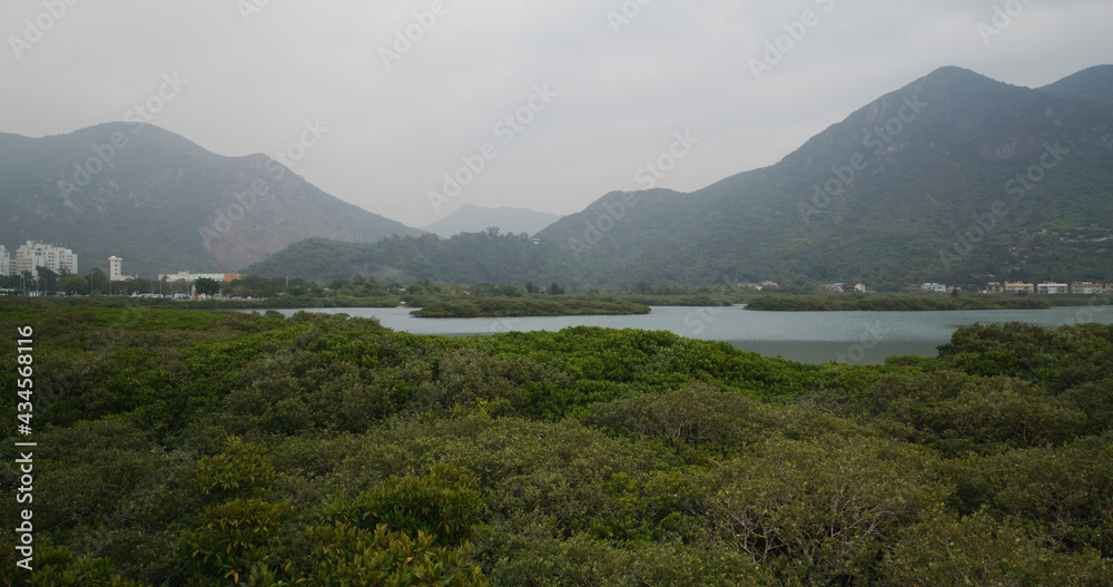 Canvas Prints mountain and sea in tai o