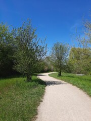 path in the park