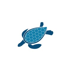 turtle animal cartoon icon image vector