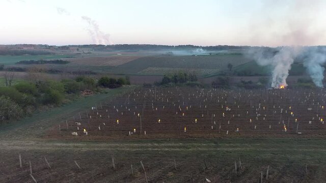 Illustration de bougies anti gel dans une vignoble. Lutte contre le froid dans un domaine viticole. Prise de vue a&eacute;rienne de bougie anti gel dans les vignes