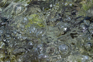 Water Up Close