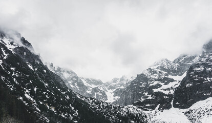 Fototapeta na wymiar incredibly beautiful snow-capped majestic mountains, incredible wildlife