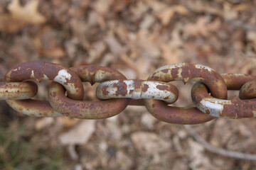 Rusted Chains Above Brown Leaves