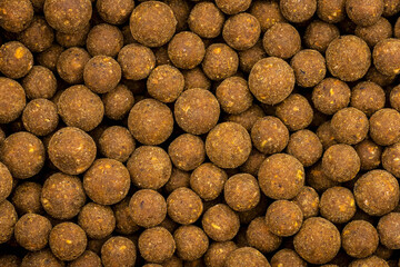 Hellbraune Boilies - Fischfutter zum Karpfenangeln
