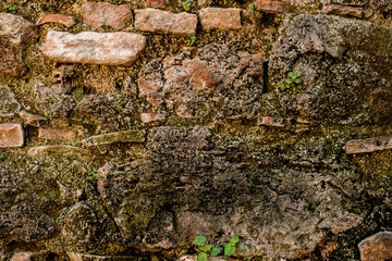 great old stone surface on which moss and other green plants grow