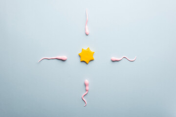 model of sperm and ovum on a blue background. Medical flatlay concept egg fertilization