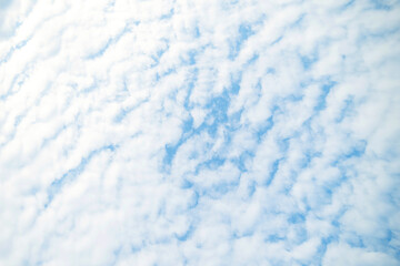 Fototapeta na wymiar Blue sky background with clouds. White clouds at the sky