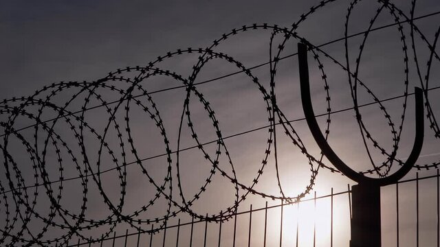Barbed Wire Hangs on Border of an Iron Fence Against the Backdrop of Sunset. Restricted area. Barrier from strangers people, refugees, prisoners. Lattice. Jail. Zoom. Close up.