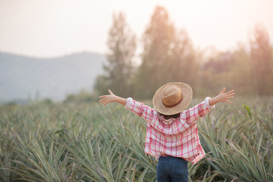 Asian female farmer see growth of pineapple in farm, Young pretty farmer girl standing on farmland with arms raised up joyful elated happiness.
