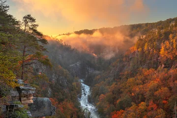 Fotobehang Tallulah Falls, Georgia, USA overlooking Tallulah Gorge © SeanPavonePhoto