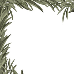 Frame with green leaves. Botanical border  on white background. Hand drawn illustration