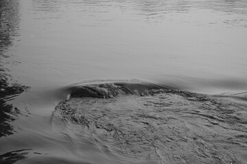 Minimalistic black and white waves and ripples in sea abstract close up background with light and shadow composition depicting peace and tranquility and clean water