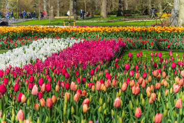 Scene from Keukenhof Park with flower arrangements and people walking, in the background