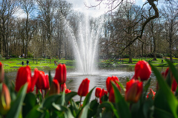 Scene from Keukenhof Park with Red Tulips and Fountain