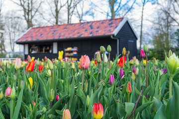 Lisse, Netherlands - April 11 2021: Food Kiosk at Keukenhof Park