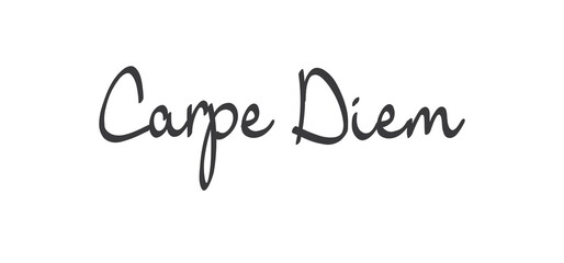 Carpe Diem lettering text, hand drawn typographic style phrase. Motivational quote handwritten design.