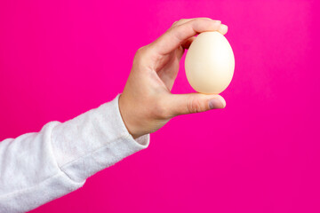 Fototapeta na wymiar Chicken egg in a female hand. A female hand holds a chicken egg.