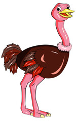 ostrich bird cartoon