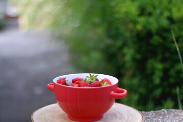 Bowl of fresh strawberries, served in a garden. Selective focus.