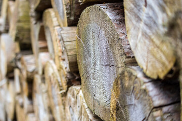 stacked firewood, wood logs, close up view
