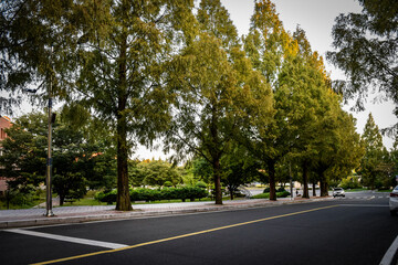 Fototapeta premium 韓国、大邱大学校内とその周辺の情景