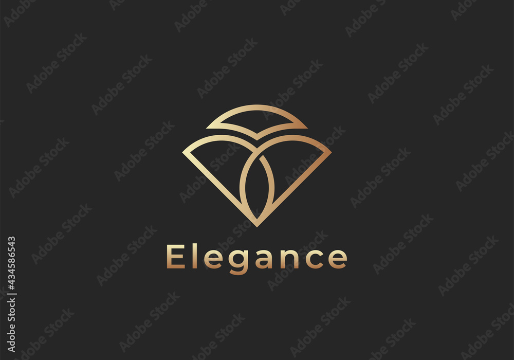 Wall mural diamond line luxury logo icon vector