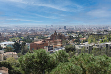 Fototapeta na wymiar The city of Barcelona from the mountain