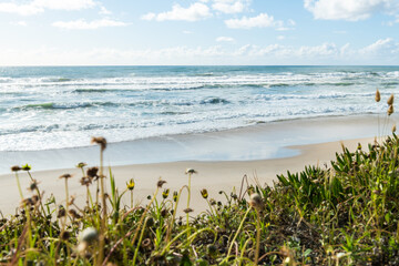 Sao Pedro de Maceda beach