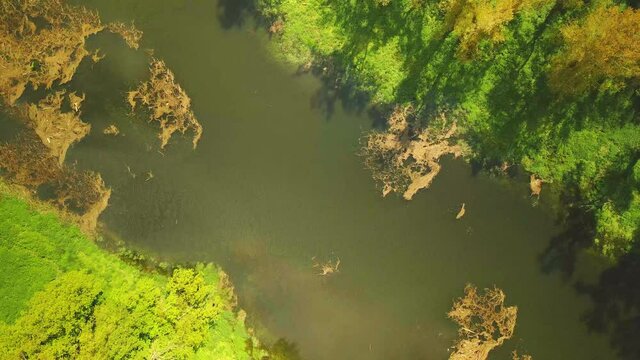 Flusslandschaft 01
