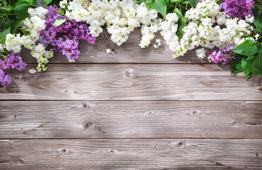 Blooming lilac flowers (syringa vulgaris) on rustic wooden background