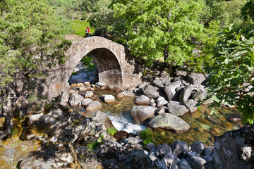 Fototapeta na wymiar Puente del Puerto. Sierra de Gredos. Avila. España. Europa