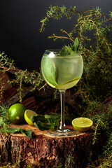 Gin and Tonic cocktail with lime and mint.