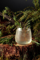 Gin and Tonic cocktail with rosemary and thyme.