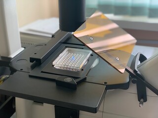 Laboratory inverted microscope with Terasaki plates. Laboratory analysis using a microscope. laboratory research.