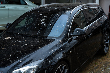 Vogelkot auf enem Auto