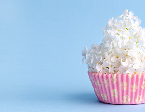 Delicate decorative cupcakes with white lilacs on a blue background in pink cups. With copy space. High quality photo