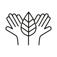 hands with leaf