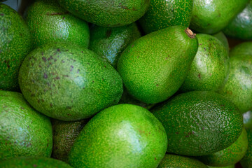 Green avocado. Avocado on the counter of the store.
