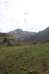 Parque de la Prehistoria - Asturias