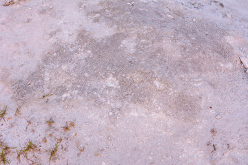 Phosphate gypsum waste on the ground. Melting snow, early spring and early thaw, snow and old dry grass.