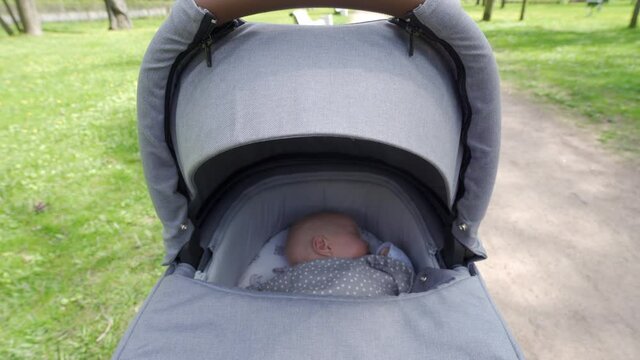2 month old baby boy in baby stroller on a walk in spring park. High quality 4k footage