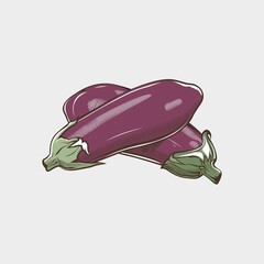 Eggplant vegetables Vector