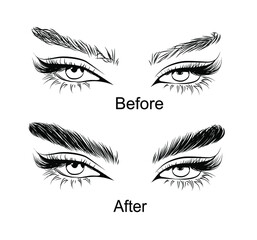 Hand drawn eye illustration eyebrow lamination. Before and after results. Eyebrow poster for salons, banners, posters