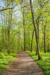 View of the walking trail in spring, Ramsholmen island, Tammisaari, Finland