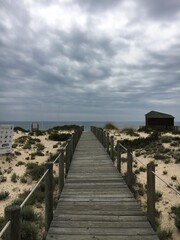 pier on the beach