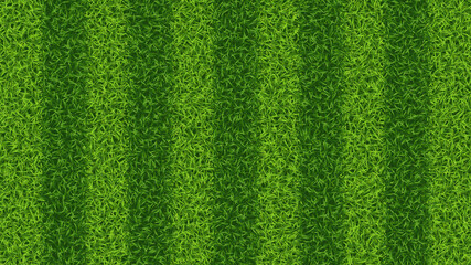 Striped soccer football grass field vector texture. Green grass pattern for sport background © 3d_kot