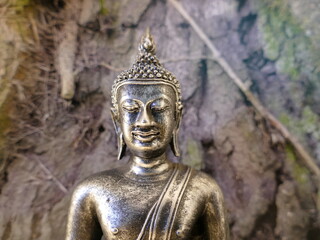 silver buddha in front of tree