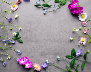 Various spring flowers on a gray background. Top view with copy space. Summer nature landscape with fresh flowers.